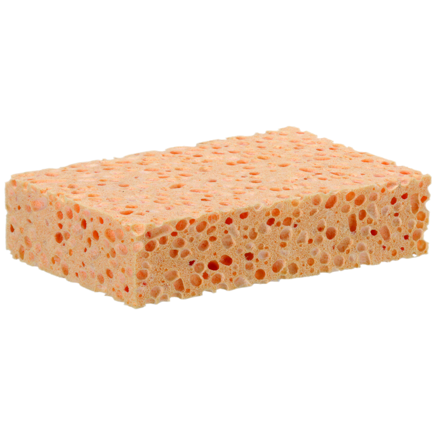 Svamp Tvätt