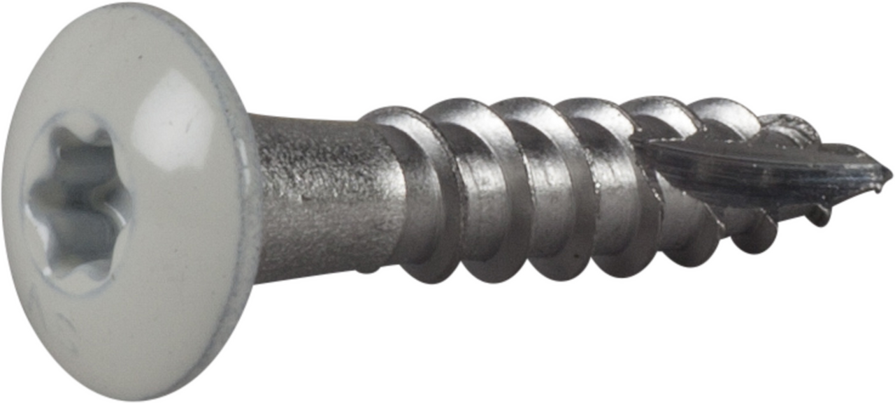 Rännkrokskruv rostfri a2 vit Ral9010 tx20 4,8x25